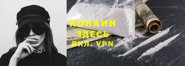кокс Касимов