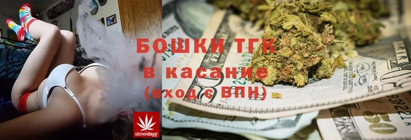 кокс Касимов