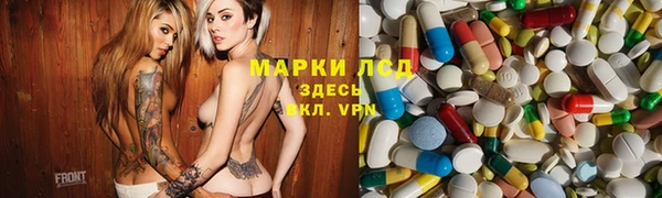 кокс Касимов